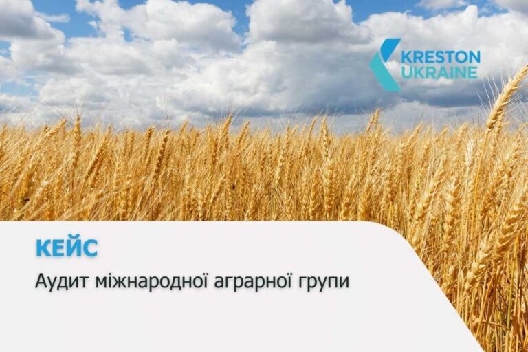 Рішення Kreston: аудит міжнародної групи компаній з координацією між Україною та Кіпром - Солагро